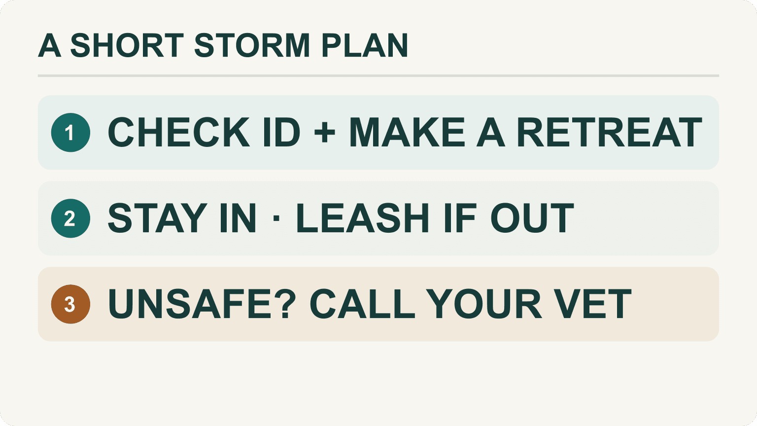 Three-step thunderstorm safety plan: prepare your dog's ID and a familiar quiet room, stay indoors and use a leash for any necessary outdoor trip, then contact a veterinarian if fear is unmanageable or unsafe.