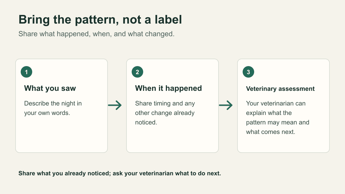 Three steps from describing the nighttime change, to sharing timing and related changes, to veterinary assessment.