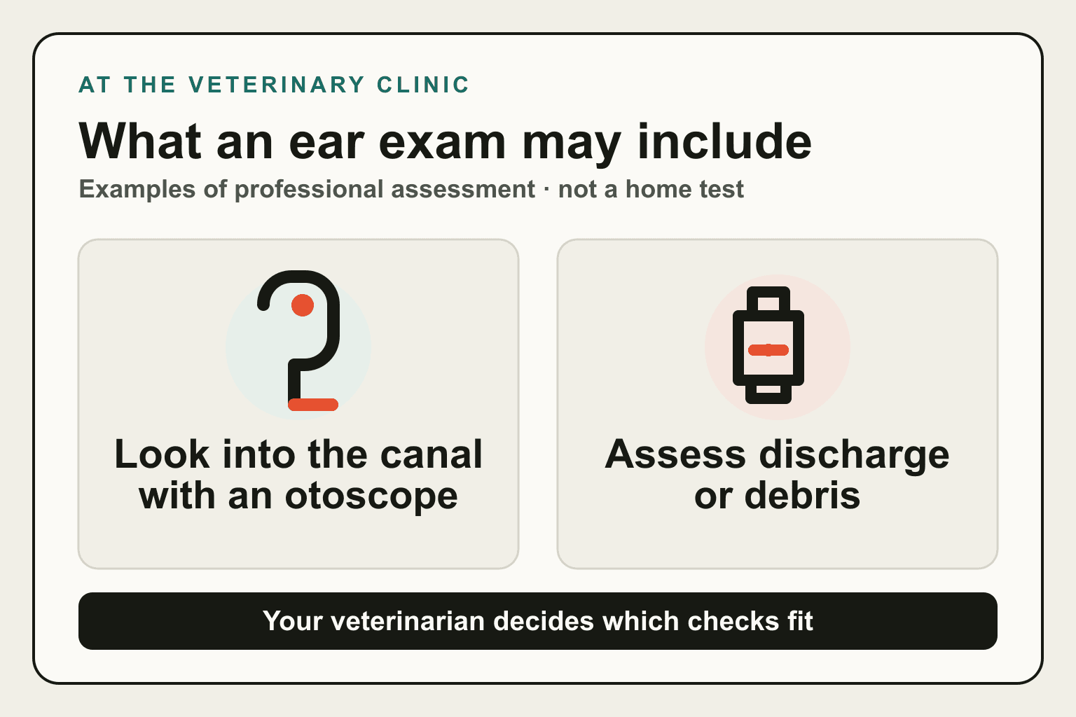 Two possible clinic checks: an otoscope examination and assessment of ear discharge or debris.